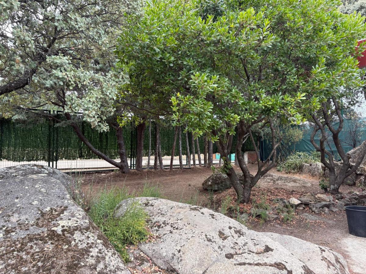 La Casa del Encinar - Bed and Breakfast Valdemorillo