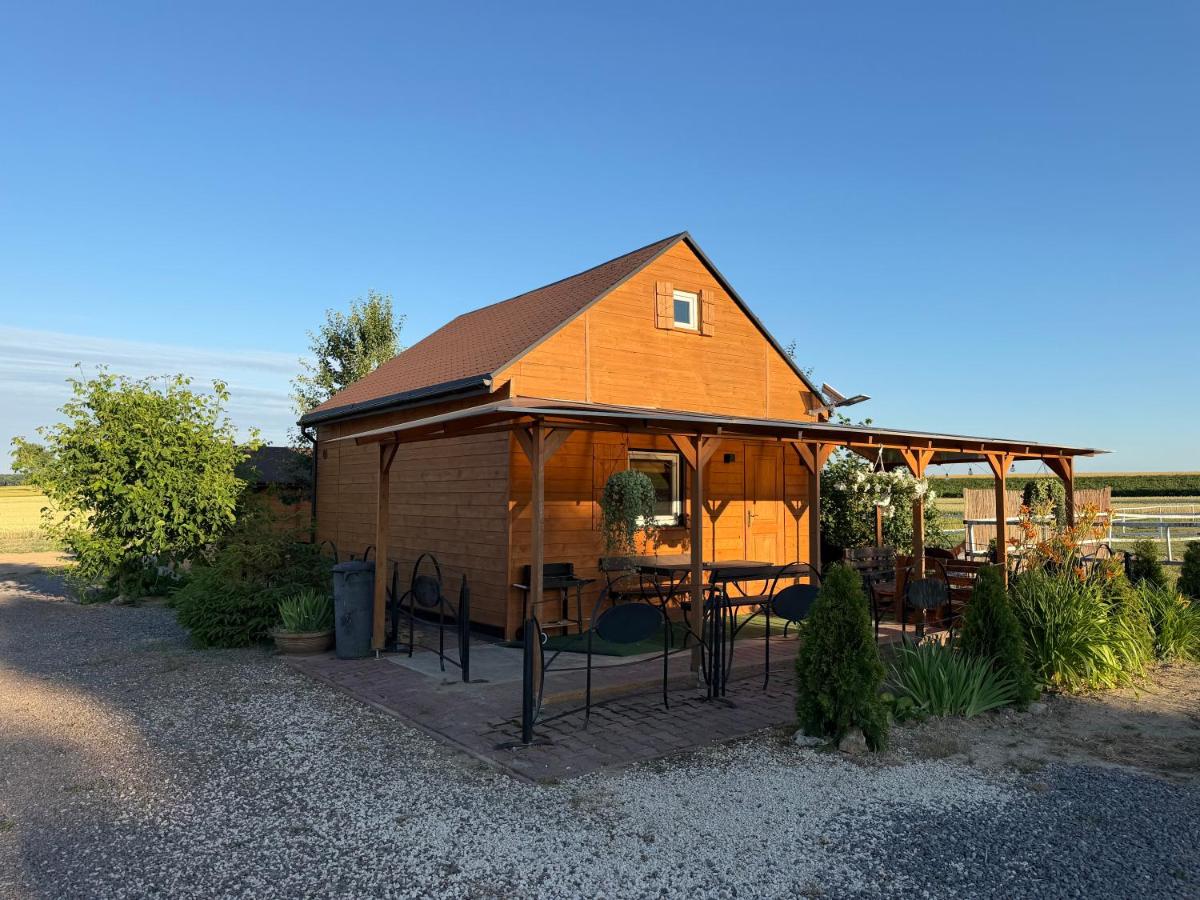 Domek wypoczynkowy - Stajnia Magenta - B&B Bychawa