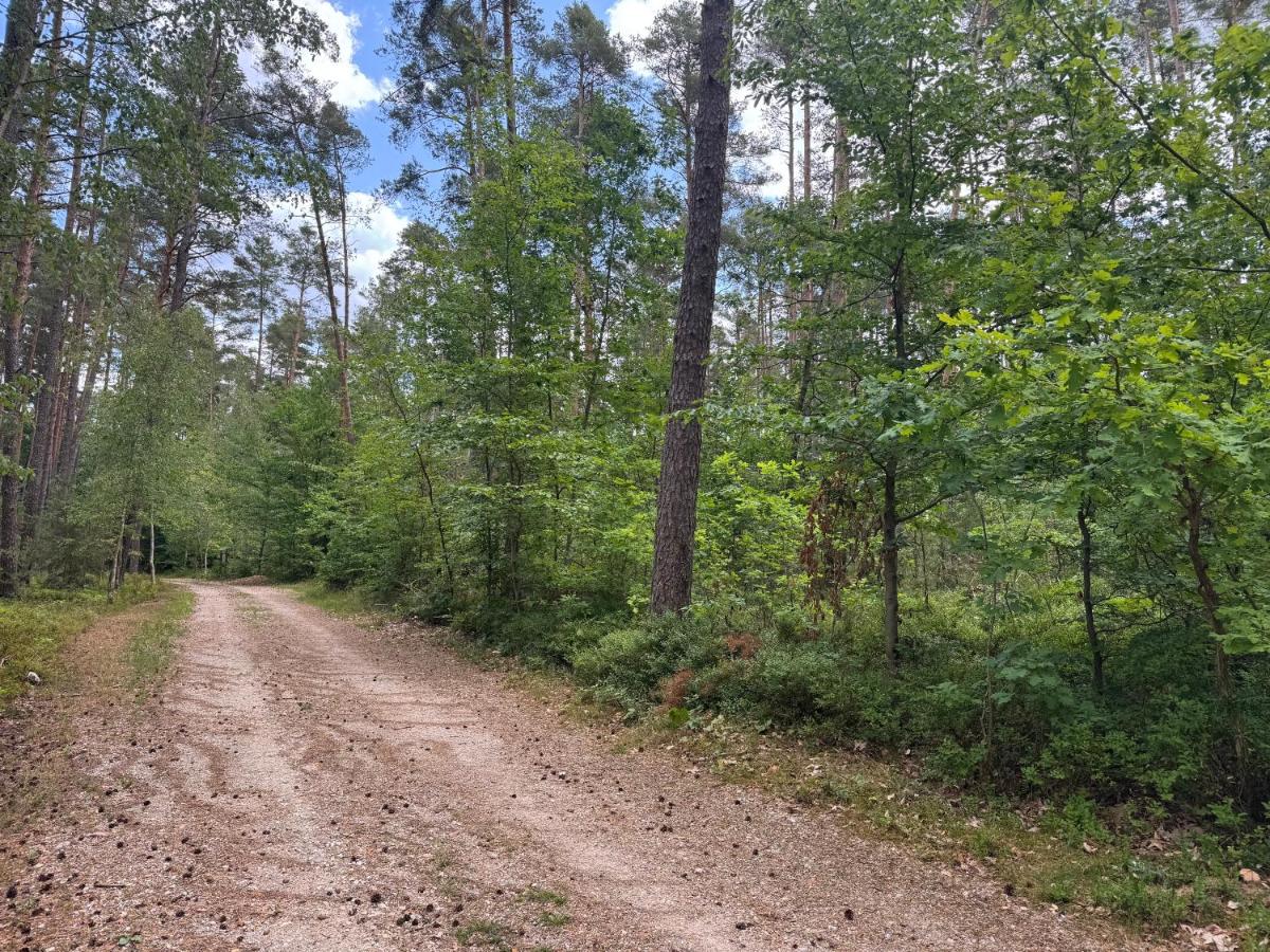 Haus am Wald - B&B Allersberg