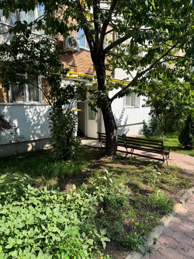 Apartament confortabil cu balcon și vedere spre zona verde Obcini, Suceava - B&B Suceava