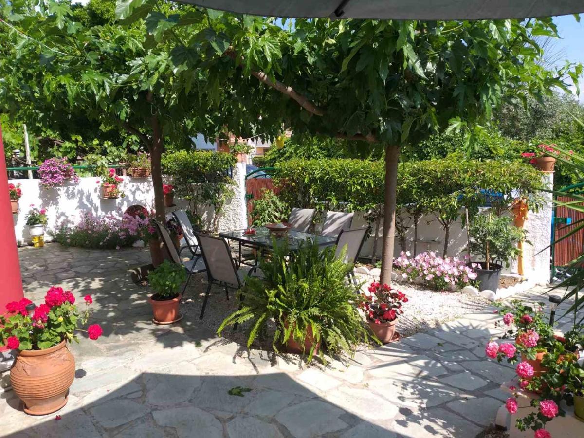 Viorica's Garden House in Alykes Volos - B&B Volos