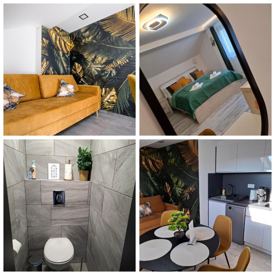 Suite-Apartment