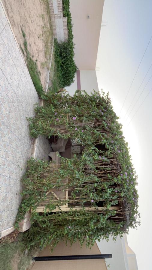 شاليه - Bed and Breakfast Al Bukayrīyah