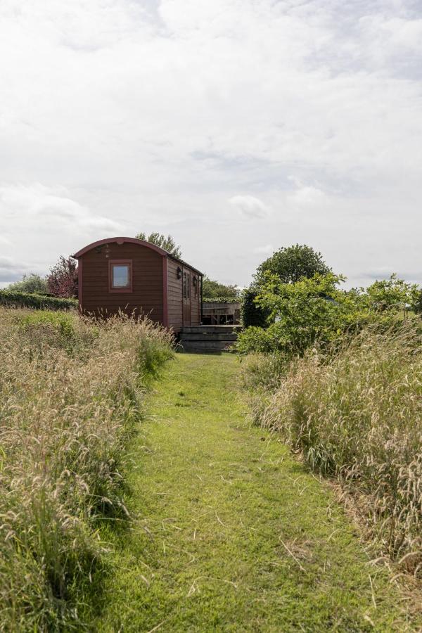 Foxglove Shepherd's Hut - B&B Berwick-Upon-Tweed
