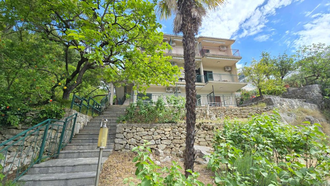 Apartment and Studios Berulia - Bed and Breakfast Baška Voda