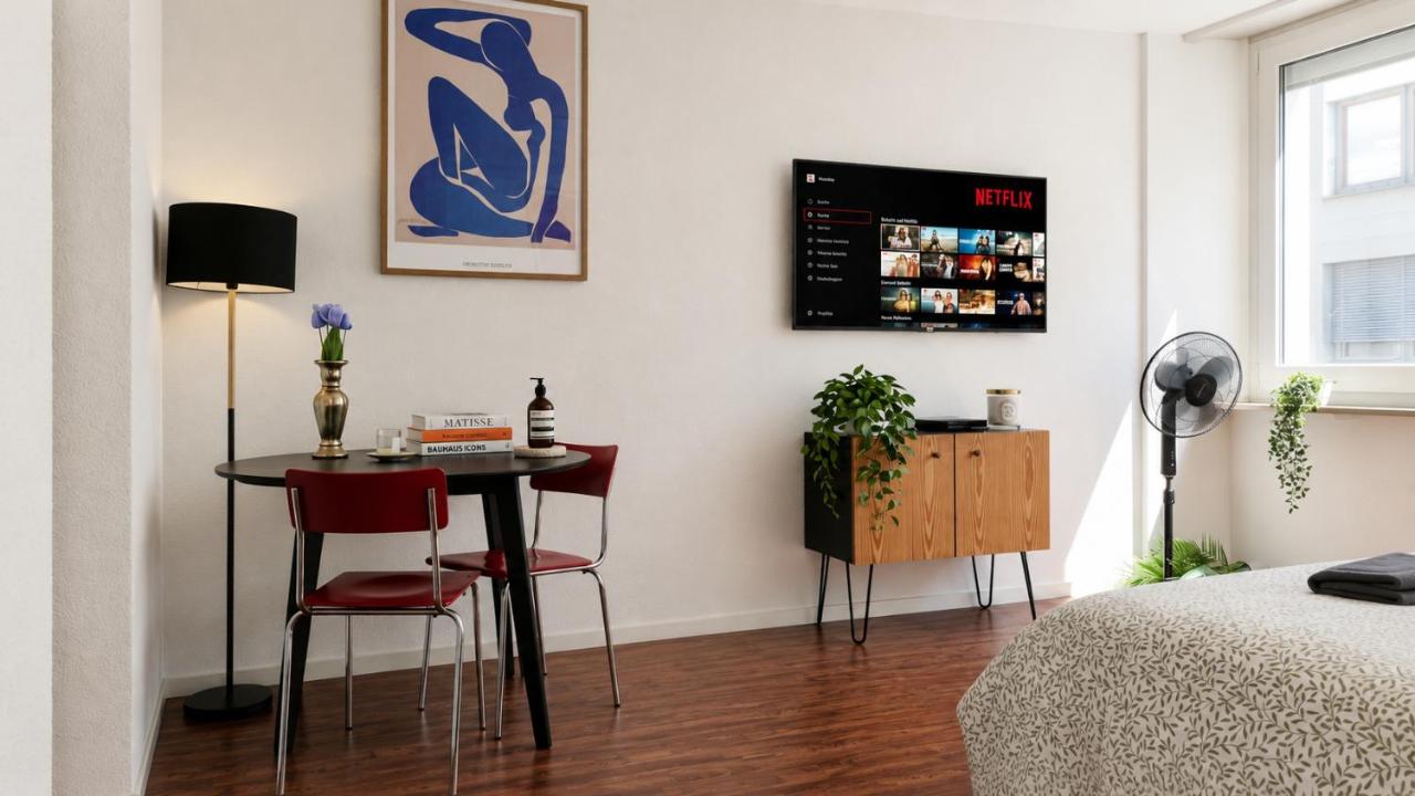 Central Studio Apartment with free BaselCard - Magritte - B&B Basilea