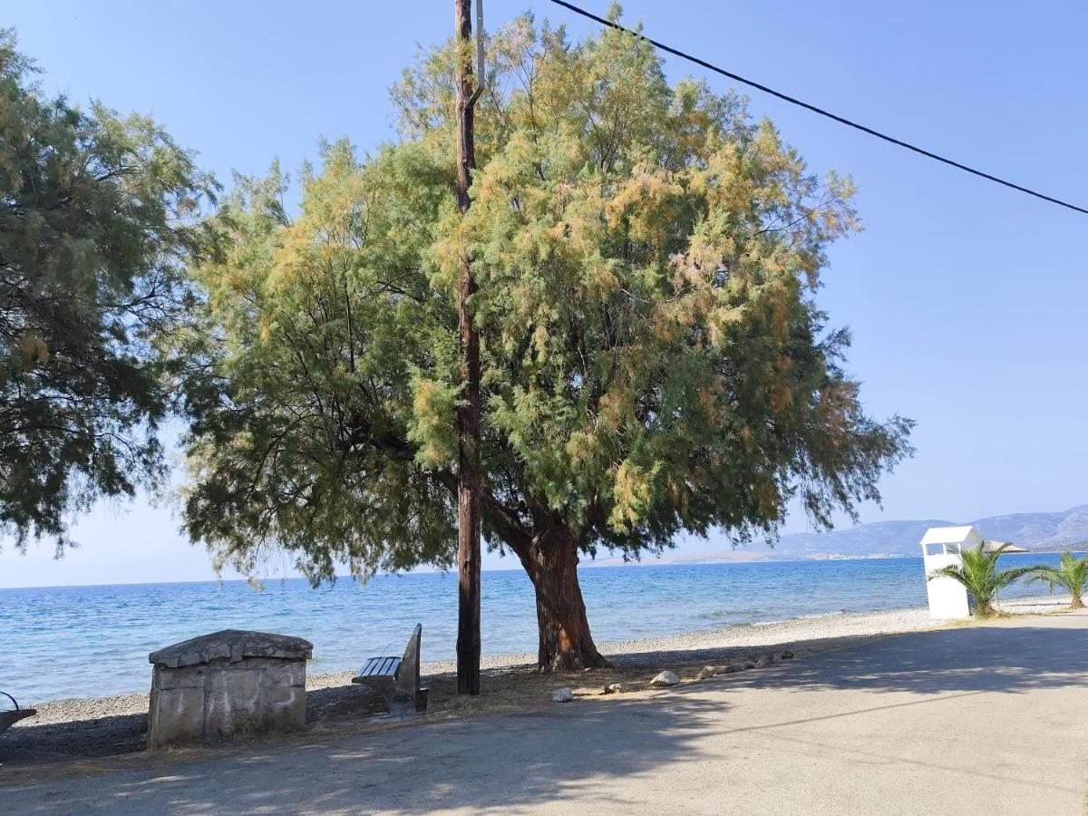 Ευρύχωρο και άνετο διαμέρισμα στην Ιτέα Joanna's Apartment - B&B Kírra