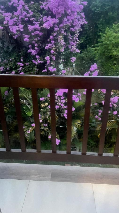 Sobrado Azul - B&B Paraty