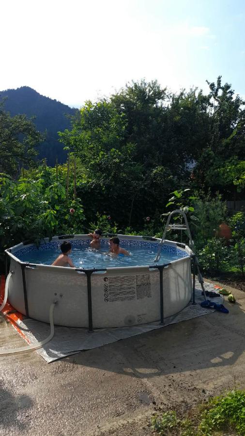 Villa Sani - B&B Borjomi