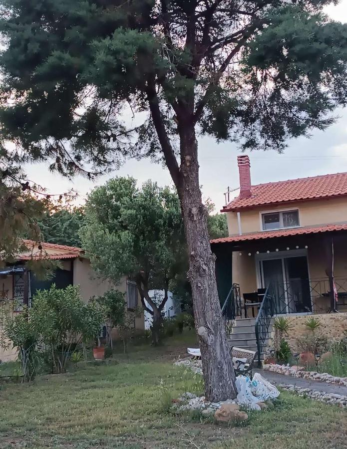 Anatoli - Bed and Breakfast Loutrá Eleftherón