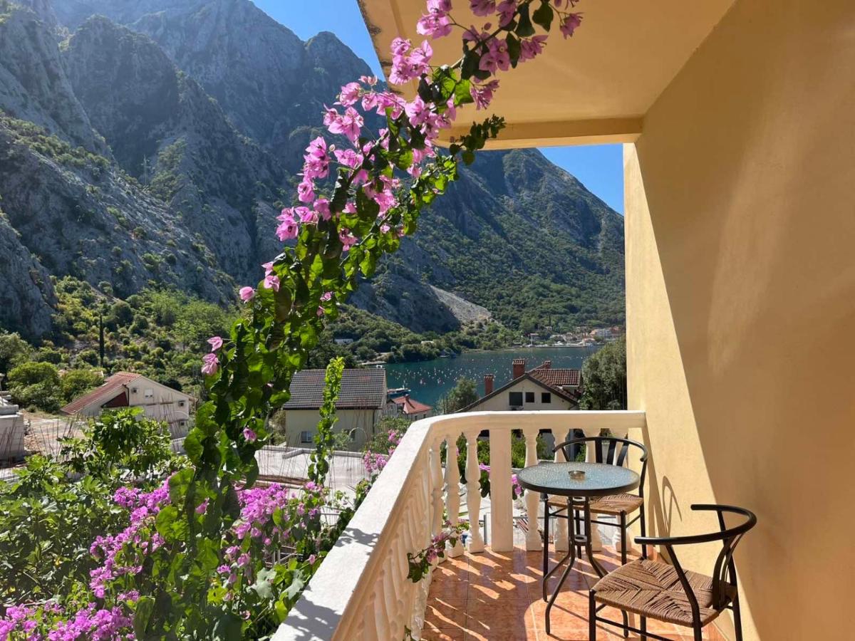 Apartman Vujović Orahovac - B&B Trstenik