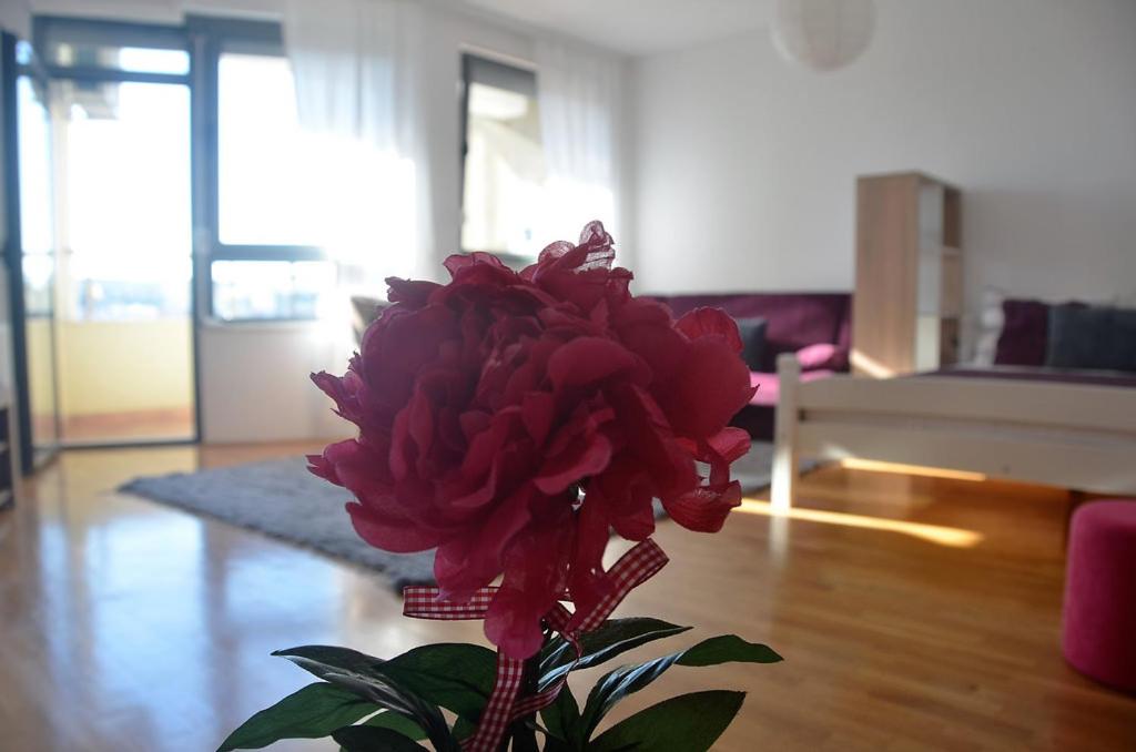 B&B Pristina - L&B Studio Apartment - Bed and Breakfast Pristina