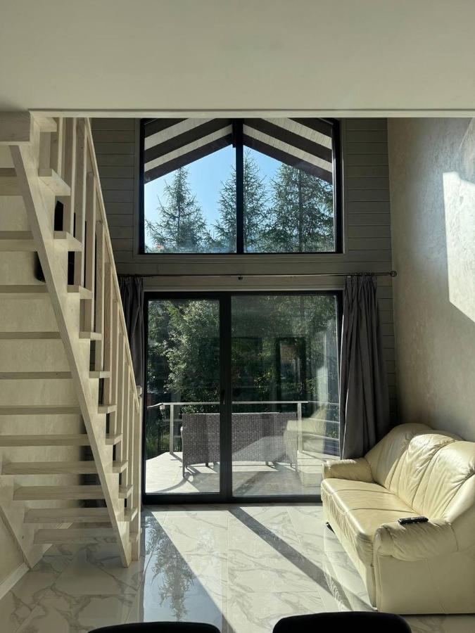 VISTA Blanc - B&B Slavs'ke