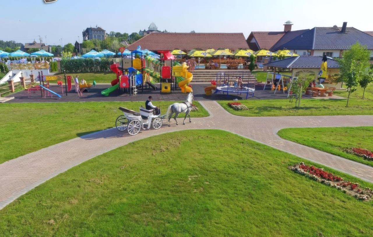 White horse wearing harness pulls white carriage at pet-friendly Hotel Intergaj Bijeljina in Bijeljina.