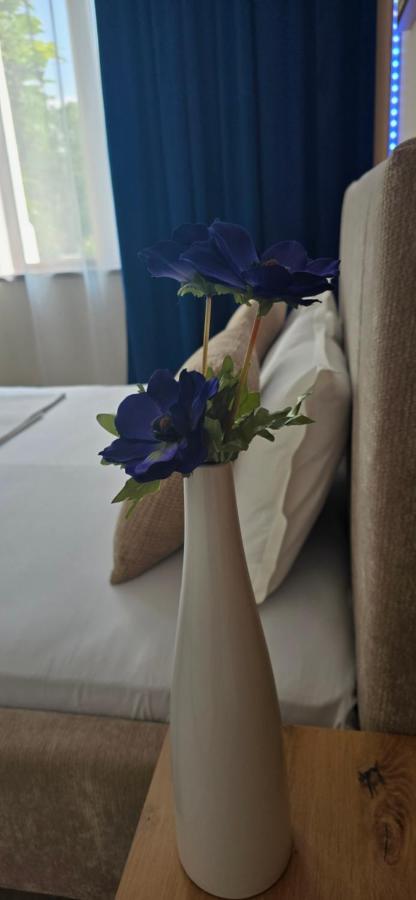 ORI ROYAL Apart malul Muresului - B&B Arad
