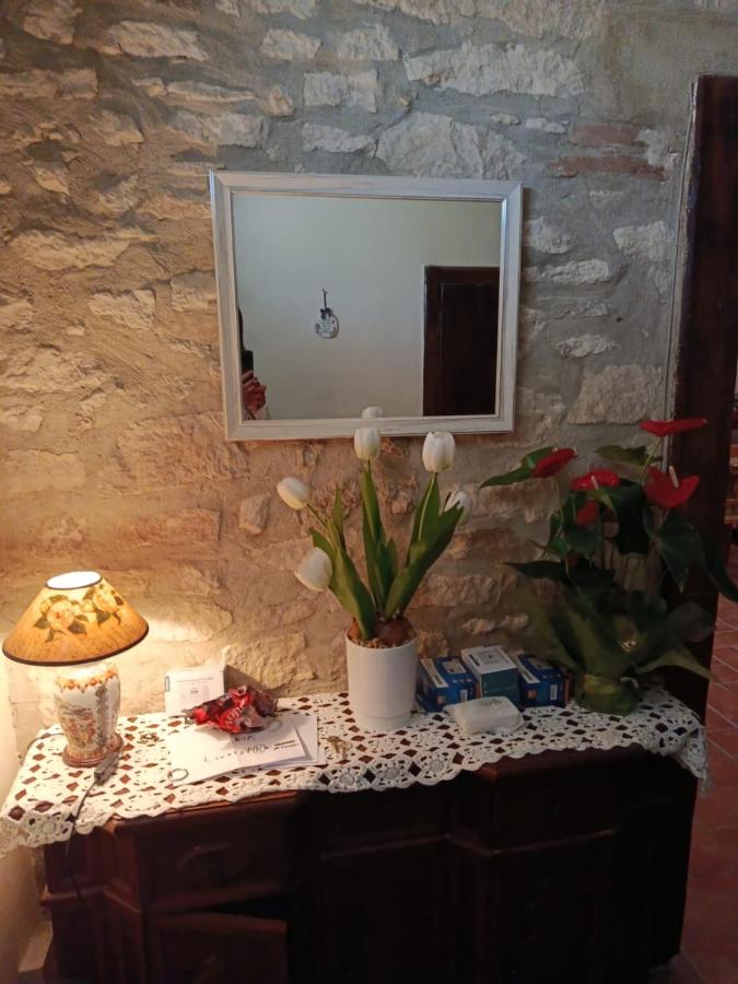 B&B - Casale di Mary - B&B Contigliano