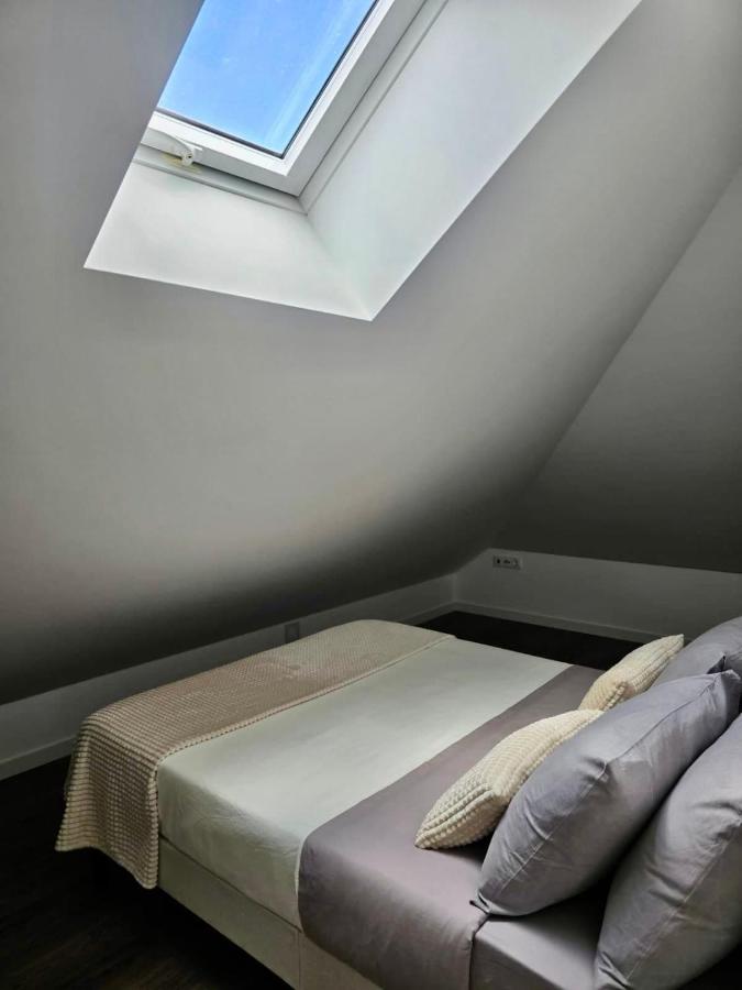 Domus Viriato - B&B Viseu