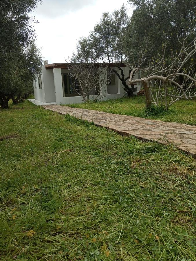 Cottage2 ησυχαστήριο,άνετο,οικολογικο - Chambres d'hôtes Sísion