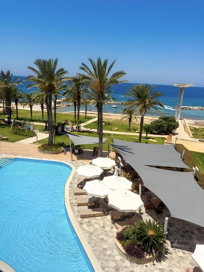 Traumhaftes Studio mit Meerblick & Pool - Chambres d'hôtes Chlórakas