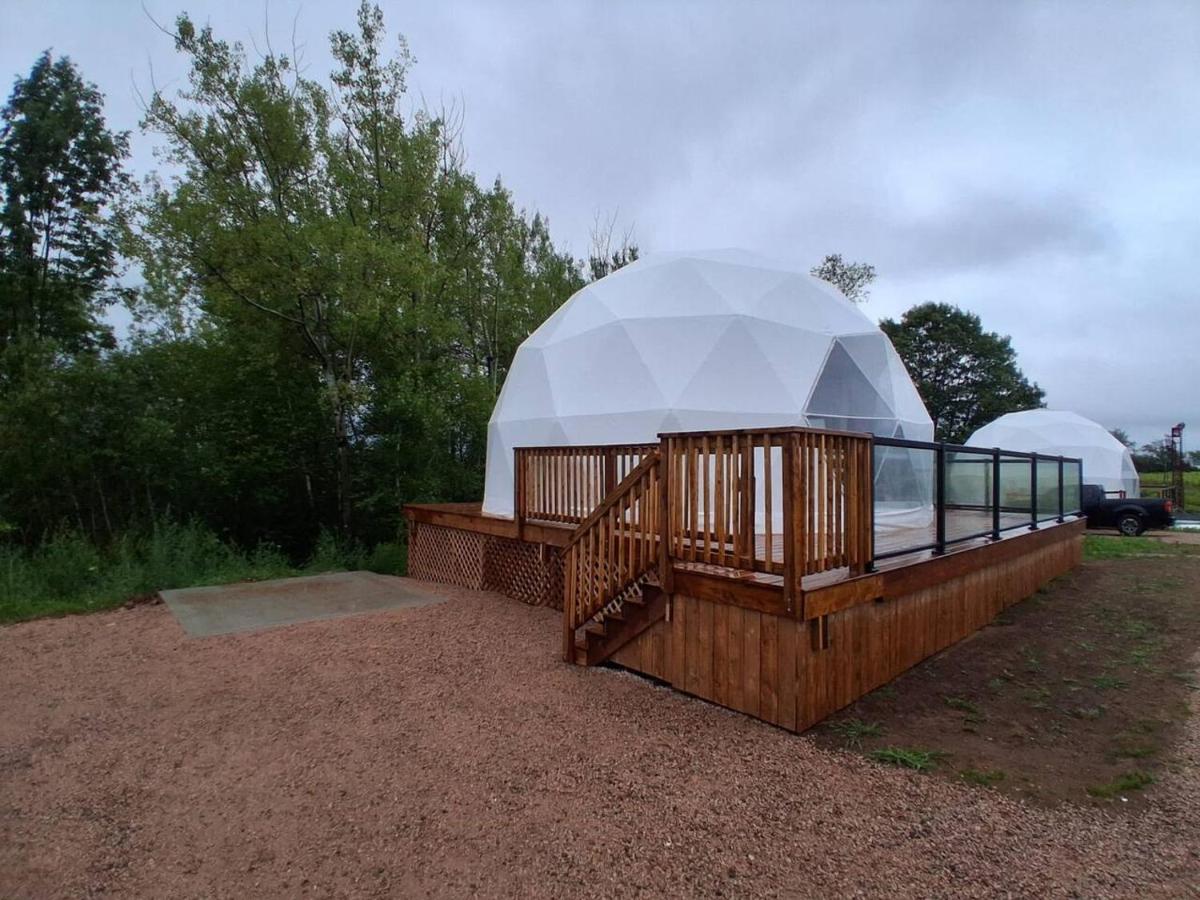 StELLA – The Star Dome Celestial Vineyard Escape - B&B Windsor
