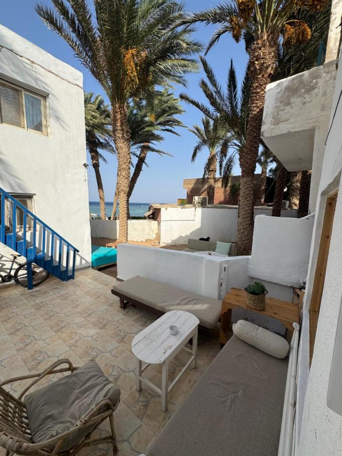 Luma Beachfront 2 Bedroom House Oasis with Yard - Bed and Breakfast Dahab
