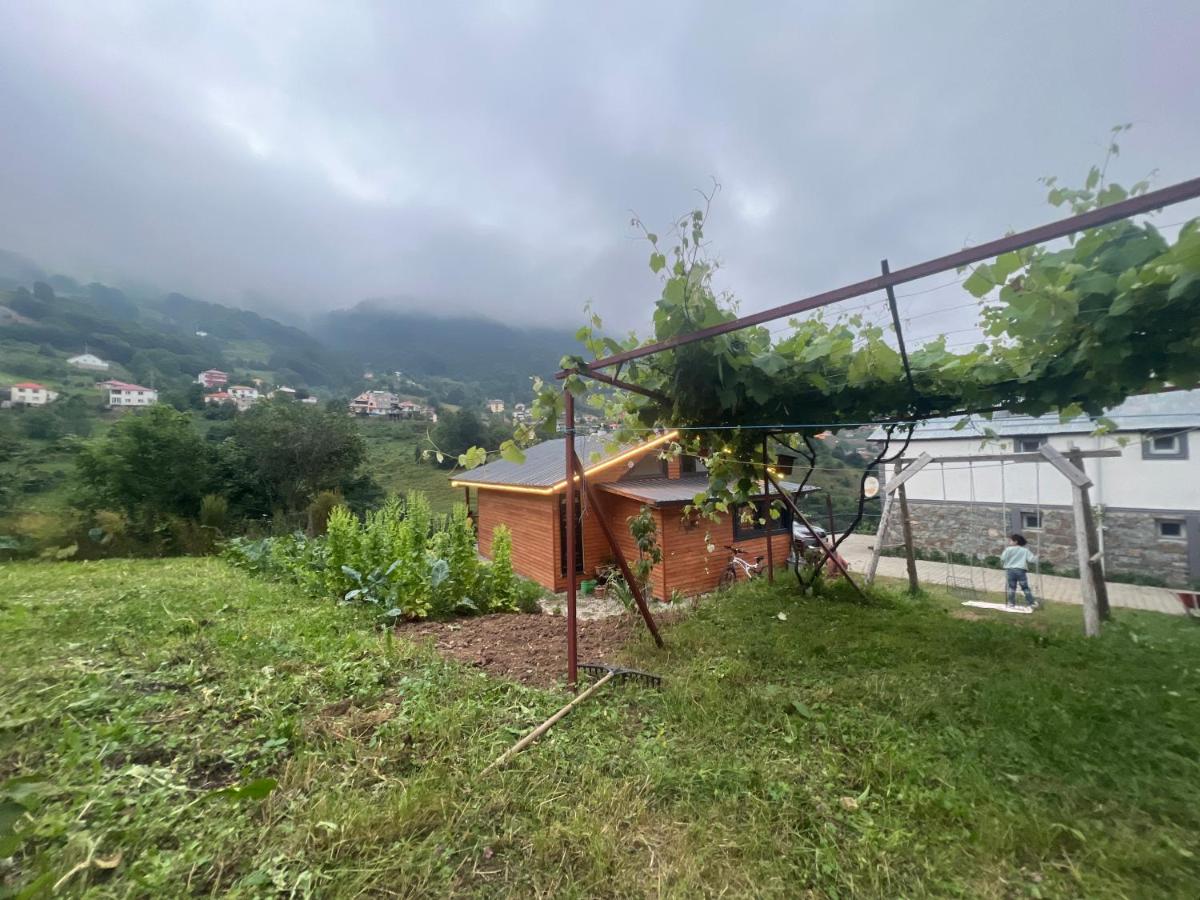 Ayas Apart - B&B Maçka