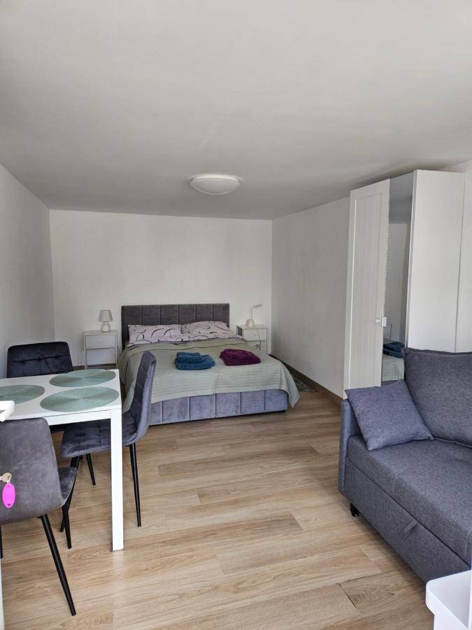 Apartment mit 1 Schlafzimmer