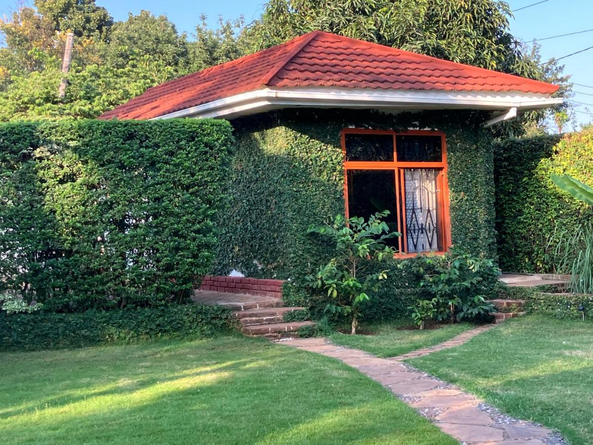 Barazani Garden House