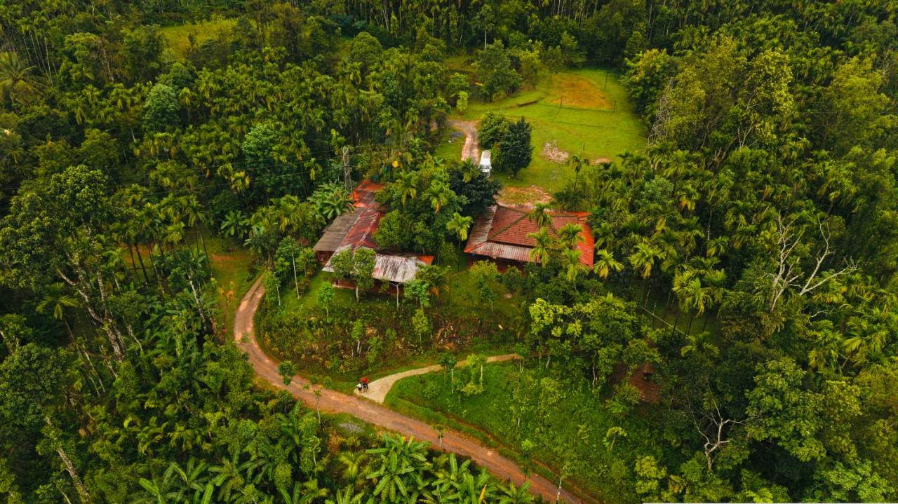 Isiri Holiday Homes - B&B Kalasa