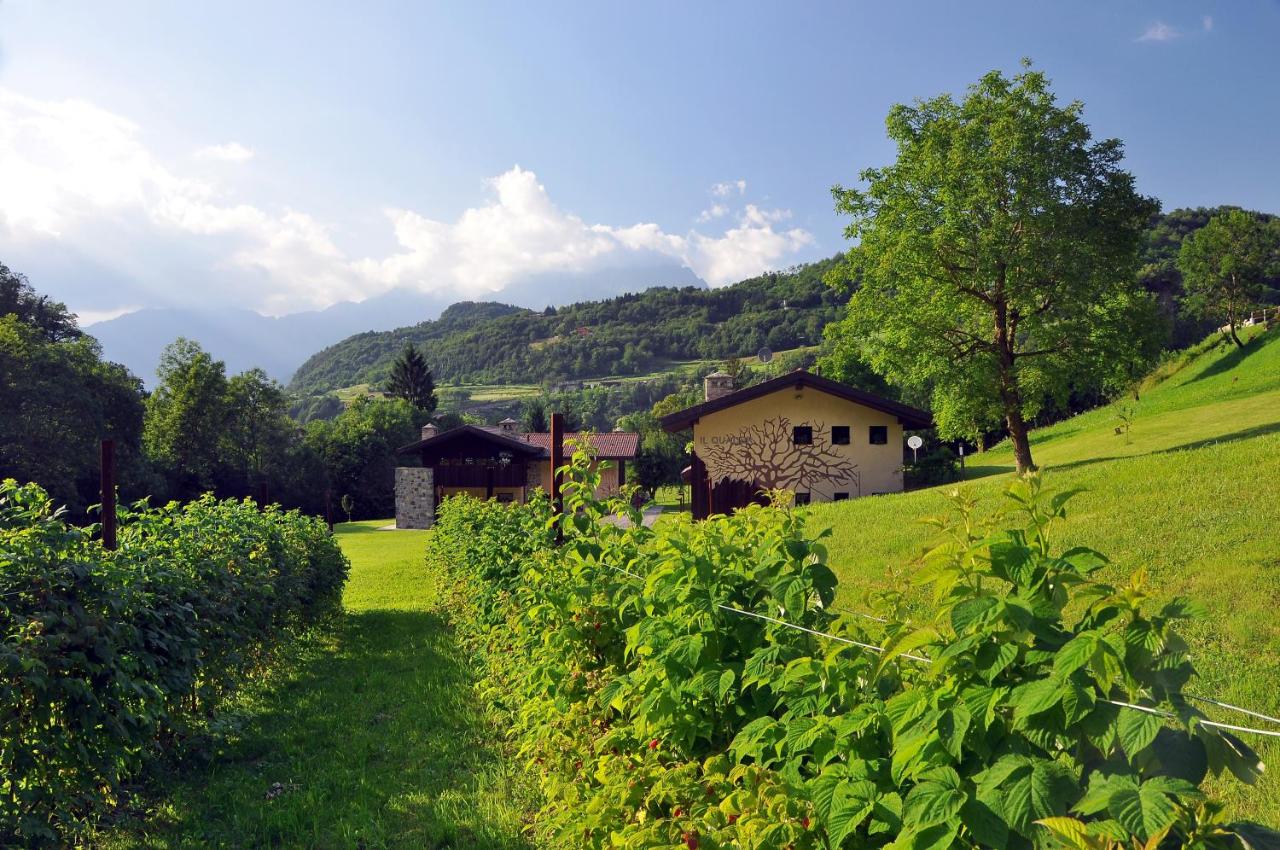 Quader Nidi nel Verde Authentic Farm Stay in the Italian Alps - Chambres d'hôtes Bienno