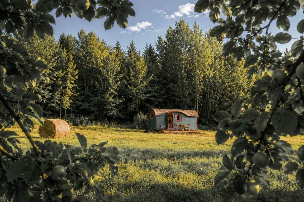 Stativa Przygorze201 Sowie Góry - Bed and Breakfast Przygórze