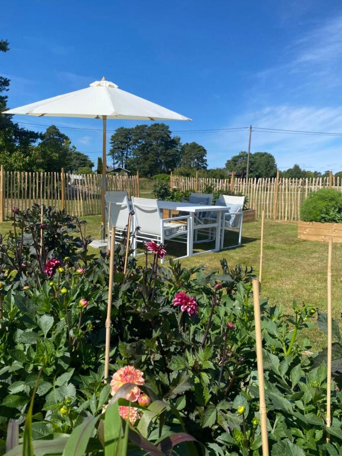 House with large garden, near the sea in Saltnes - Chambres d'hôtes Fredrikstad