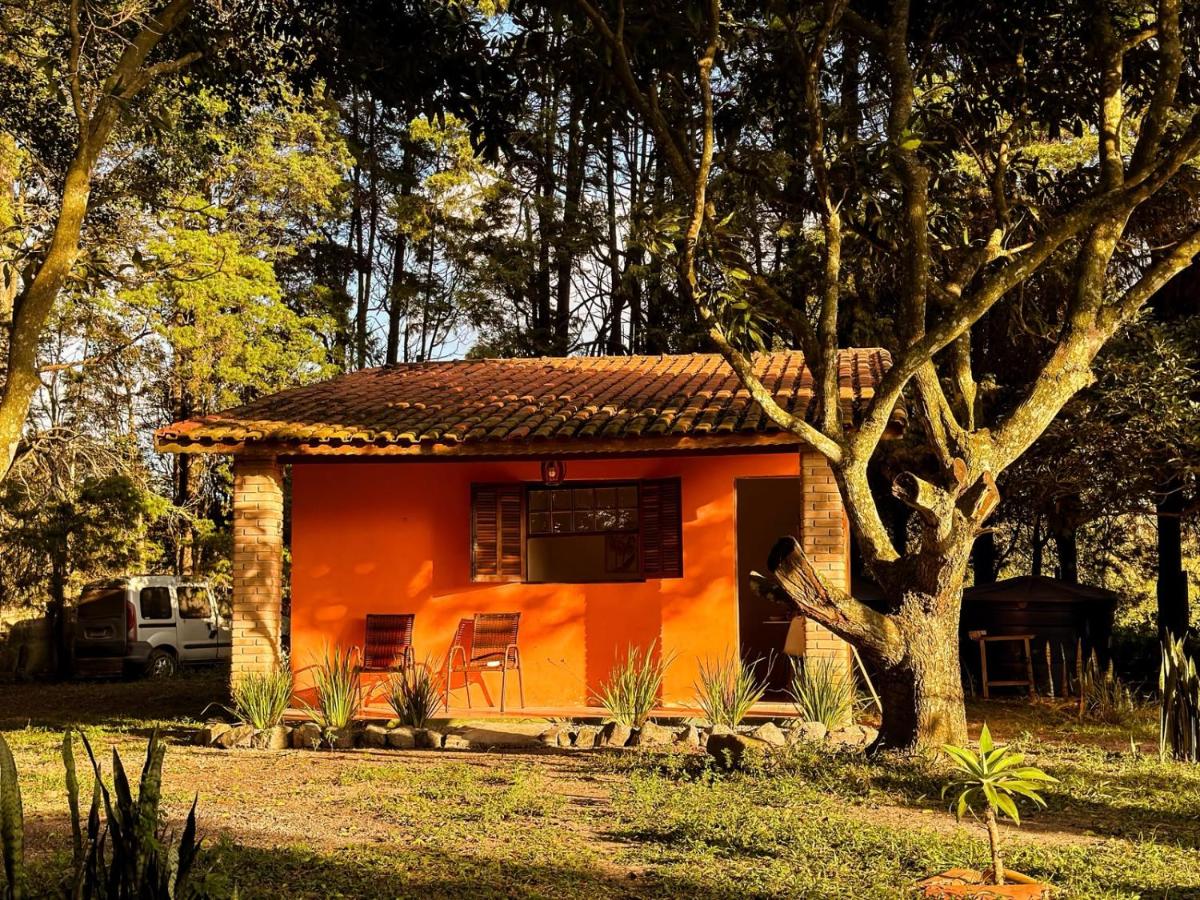 Chalé Privativo na Natureza - Café incluso - Bed and Breakfast São Roque