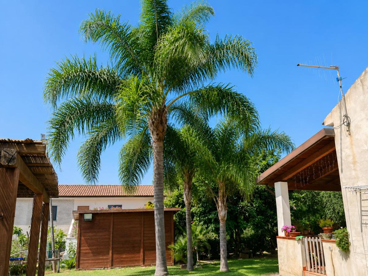 IL Poggio Del Barone - Bed and Breakfast Santa Maria