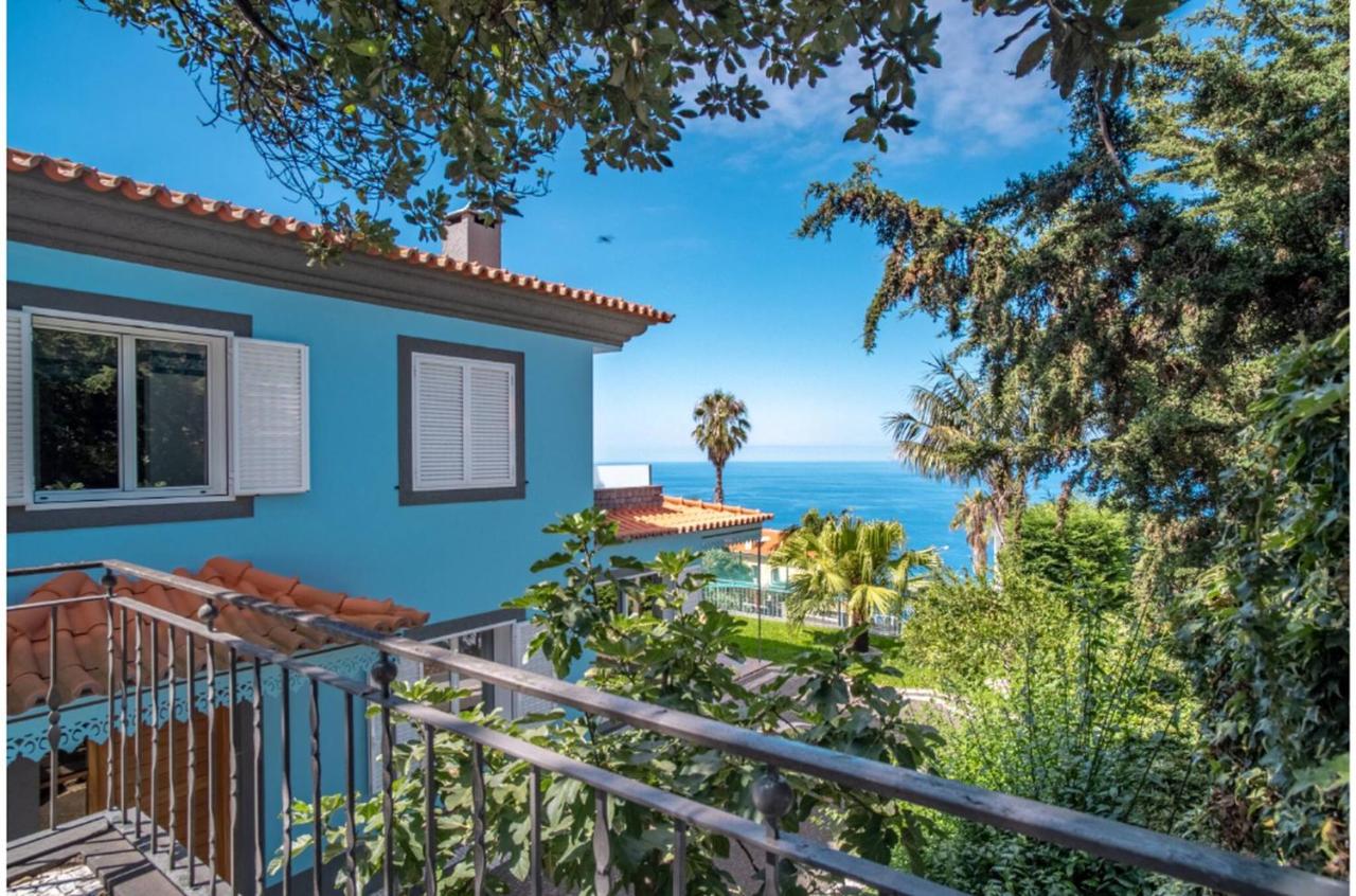 Villa Loureiro Palace With Soccer Field - B&B São Gonçalo