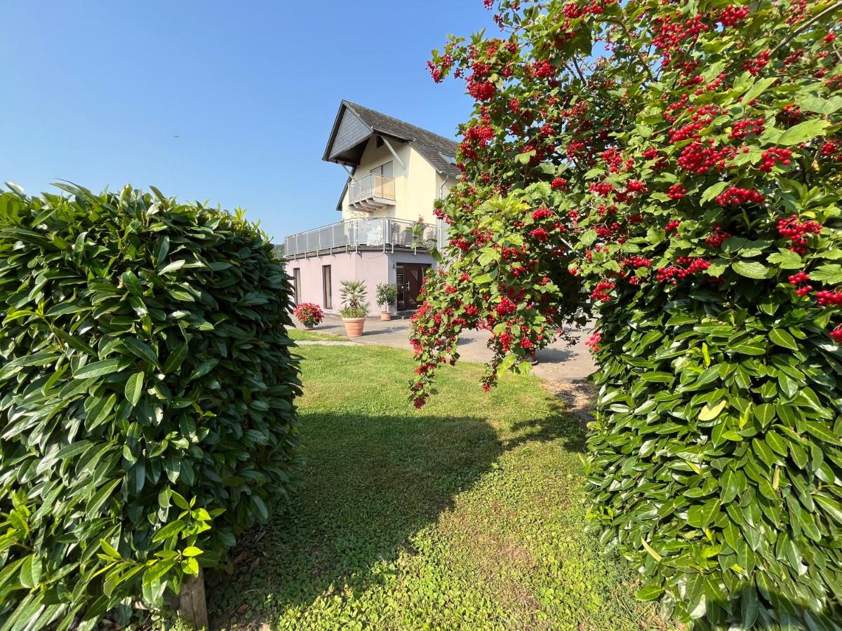 Weingut Lindenhof - Chambres d'hôtes Thörnich