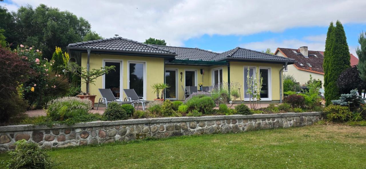 Lavendelhaus am Müritzsee - direkt am Wasser - B&B Buchholz