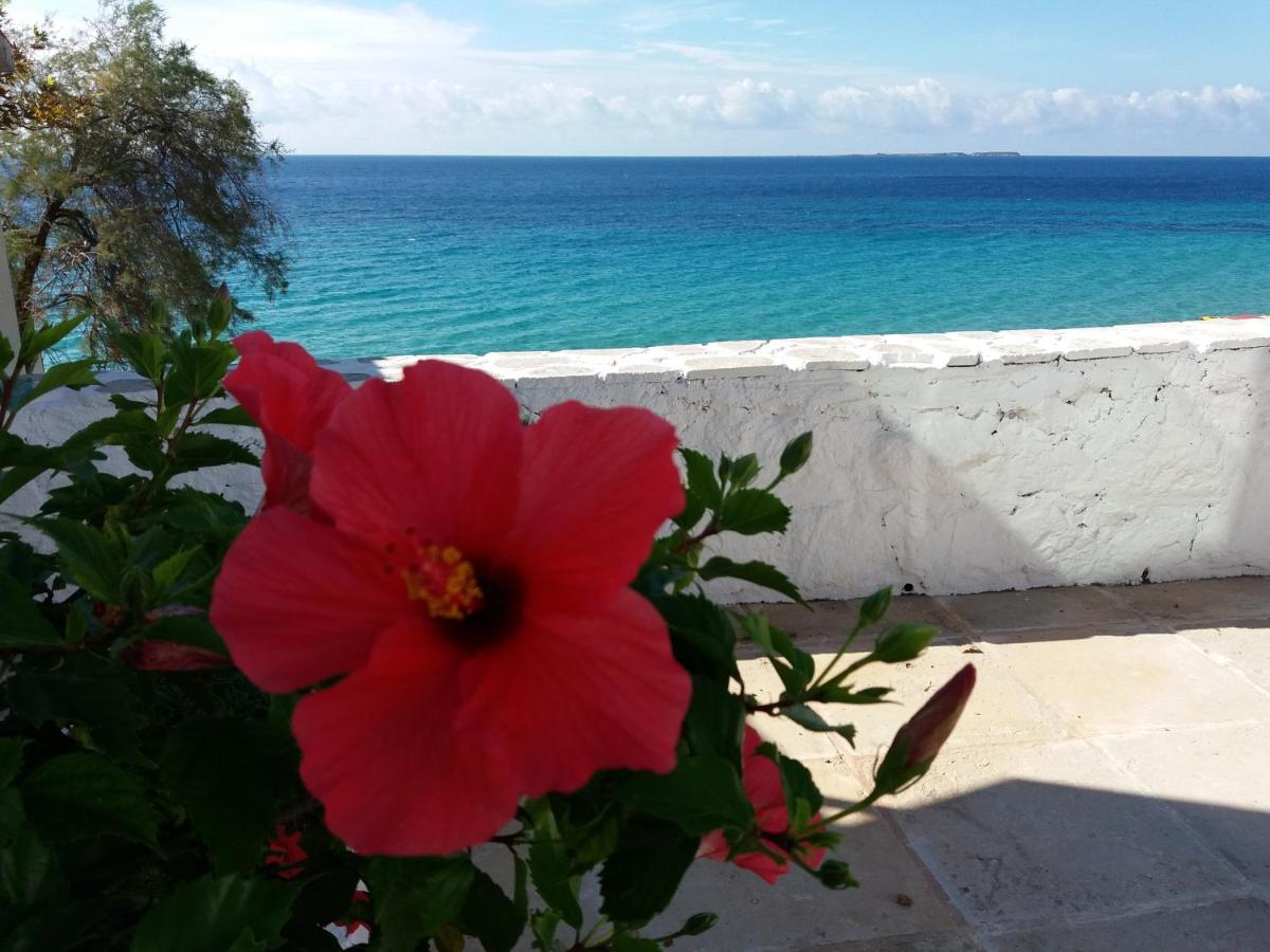 Apartment with Sea View (2 Adults )