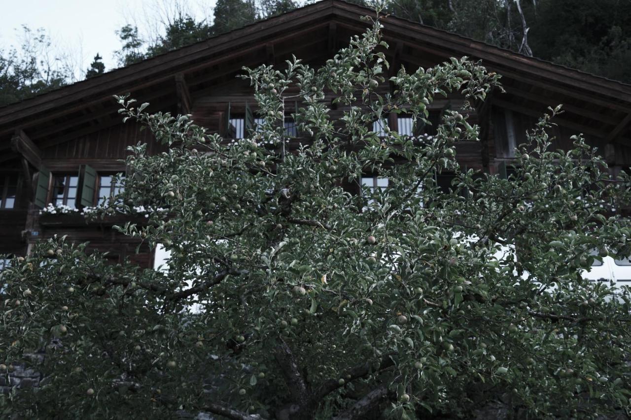 Haus Mannenberg - Chambres d'hôtes Zweisimmen