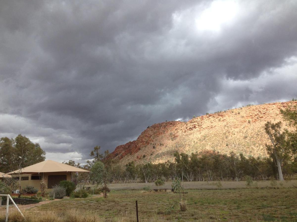 Squeakywindmill Boutique Tent B&B - Bed and Breakfast Alice Springs
