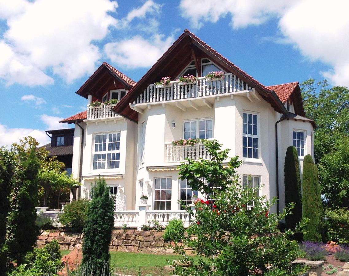 Pension zur Weinlaube - B&B