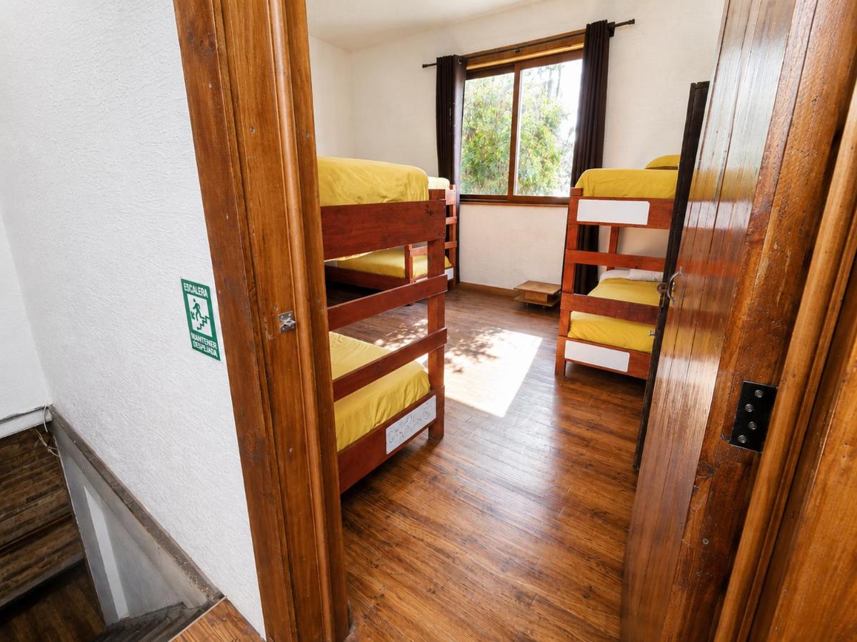 Bed in 8-Bed Mixed Dormitory Room
