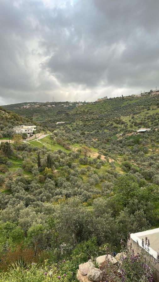 عجلون - B&B Ajloun
