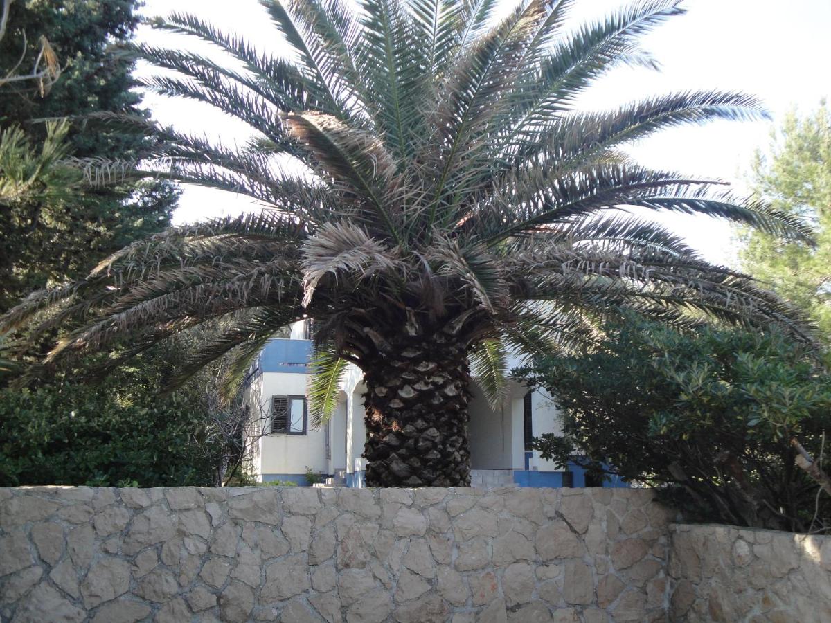 Holiday Home Mirna - Bed and Breakfast
