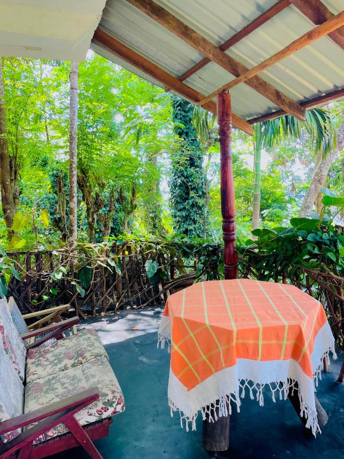 Dulmini Homestay - Bed and Breakfast Ella Town