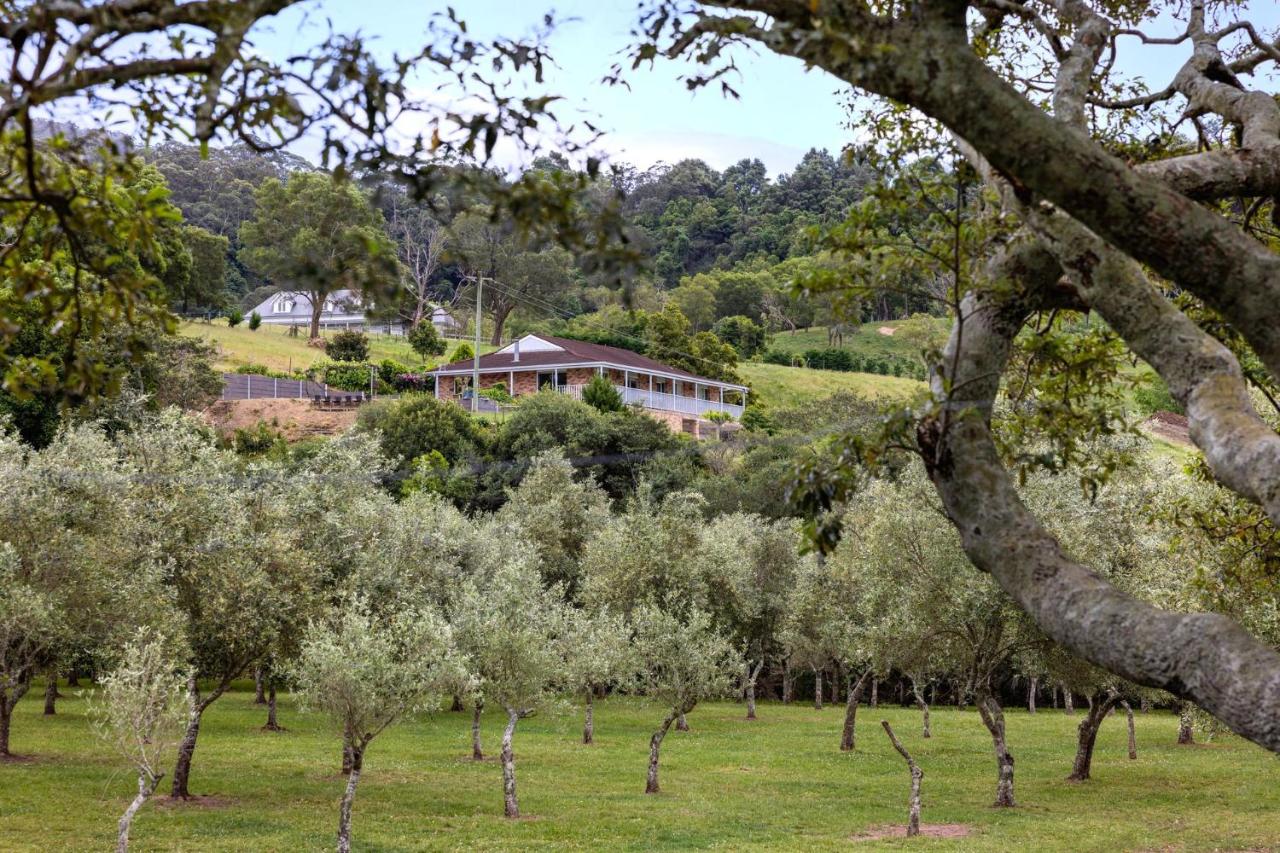 Olive Grove - Pet Friendly with Fireplace - Bed and Breakfast Bellawongarah