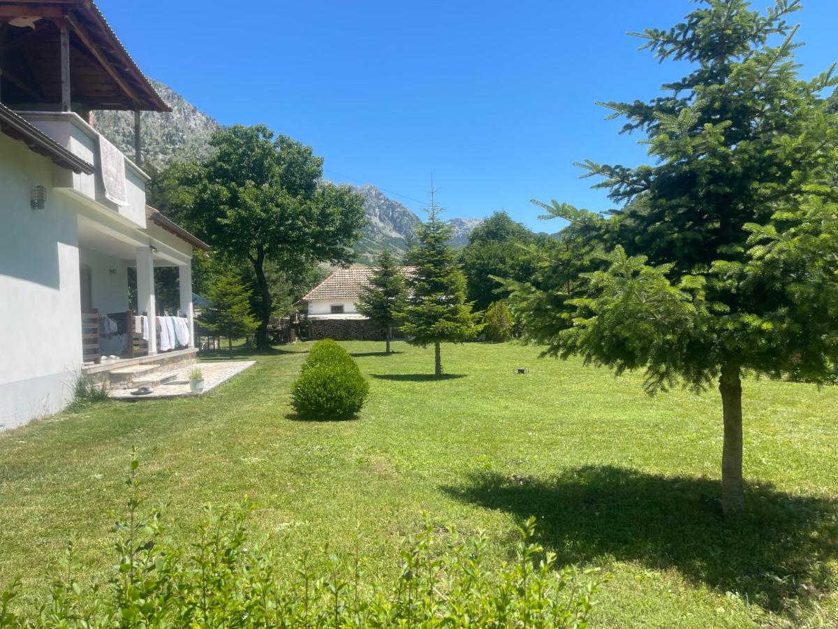 Paja Guesthouse - Camping - B&B Bogë