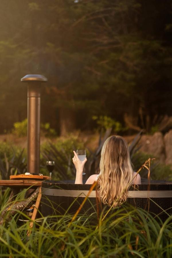 Fiery Peak Eco-Retreat with Stargazing & Hot tub - B&B Geraldine
