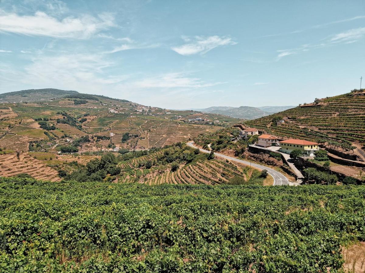 Fonte Country House with Jacuzzi - Douro Valley - Chambres d'hôtes Lamego