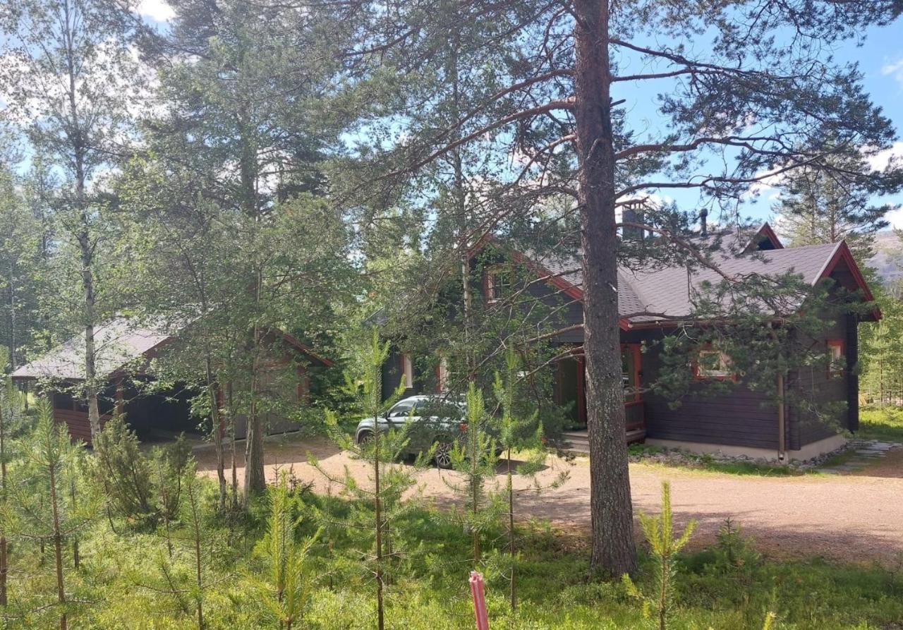 Orrenkolo, Lapland - B&B Luosto